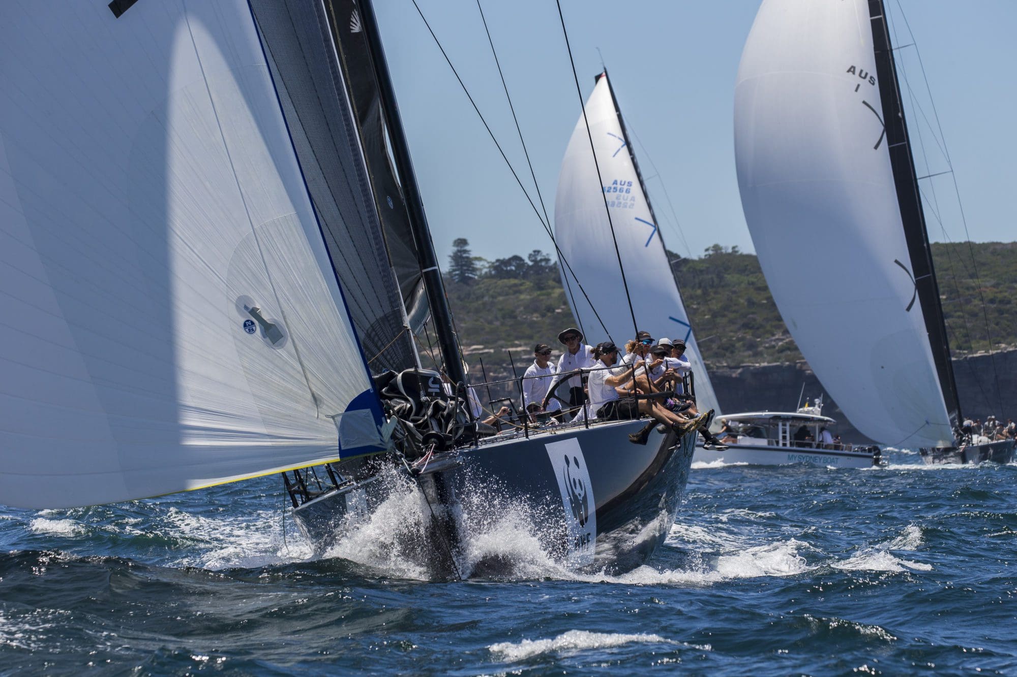 cruising yacht club of australia news